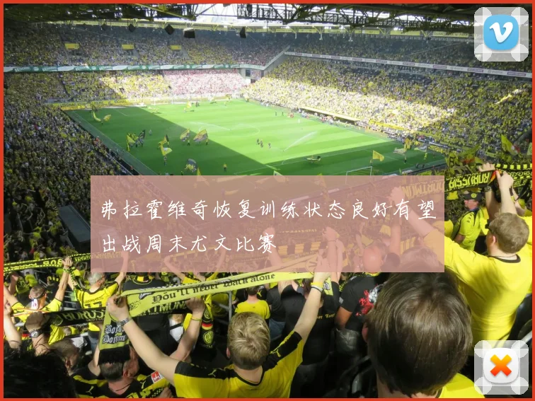 弗拉霍维奇恢复训练状态良好有望出战周末尤文比赛
